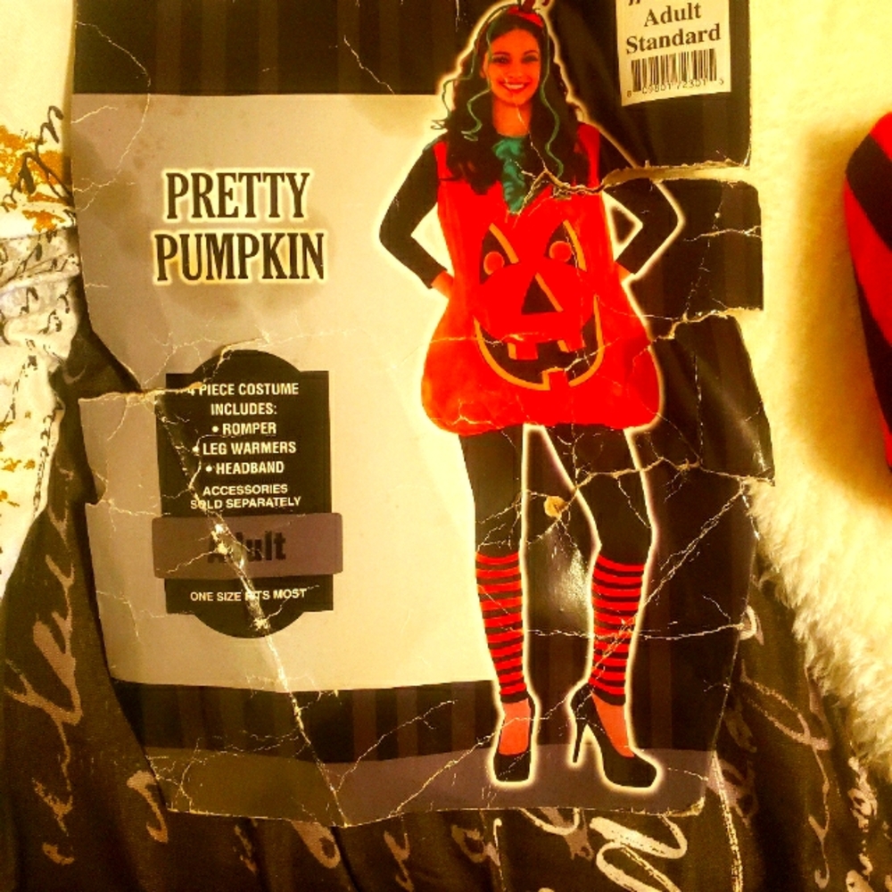 Adult Halloween  🎃 costume